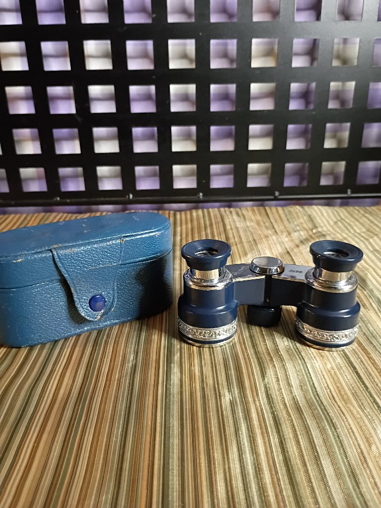 Vintage Pair Of Violetta Opera Glasses